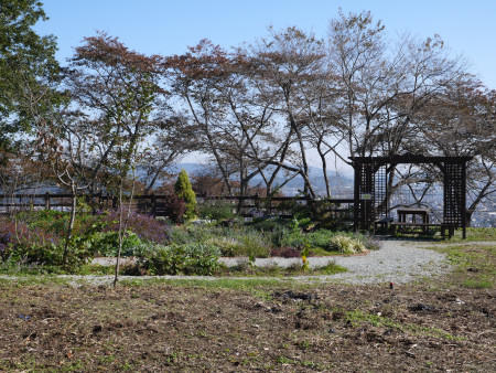 c0195439_22584567.jpg