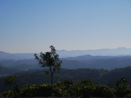 c0195439_22594430.jpg