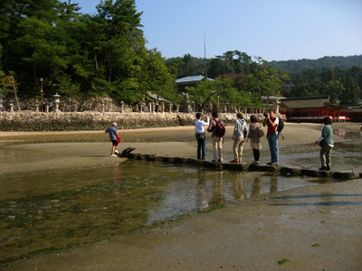 d0143739_1121570.jpg