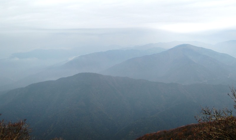 b0289649_10363224.jpg