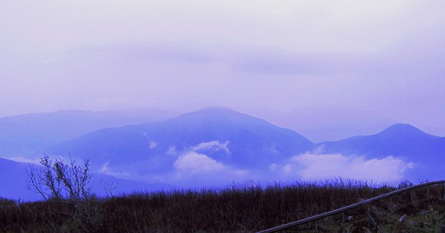 b0289649_12362720.jpg
