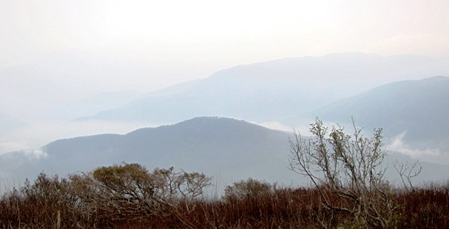 b0289649_1238184.jpg