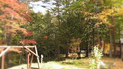 a0251851_1272110.jpg