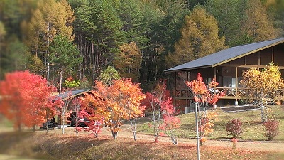a0251851_1273477.jpg