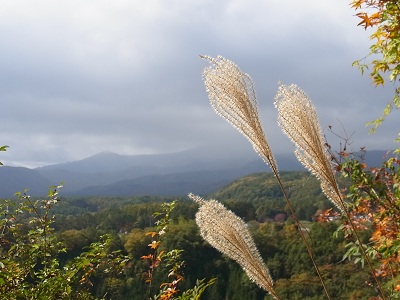 a0251851_128393.jpg