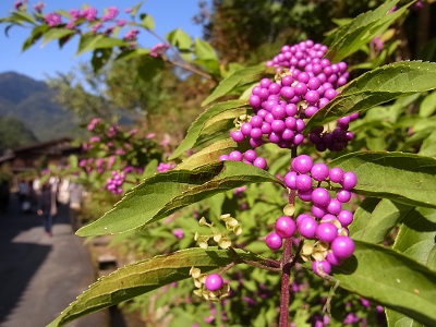 a0251851_129341.jpg