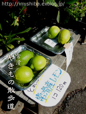a0286855_15552210.jpg