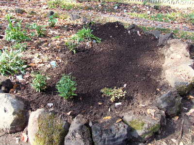 e0088260_1082243.jpg