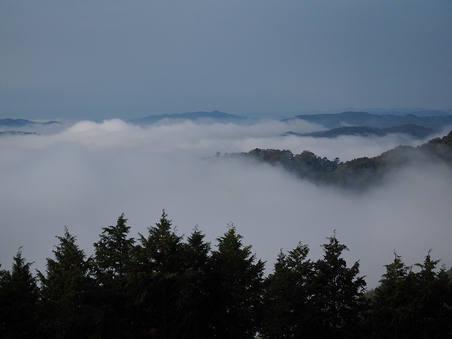 d0128465_95796.jpg