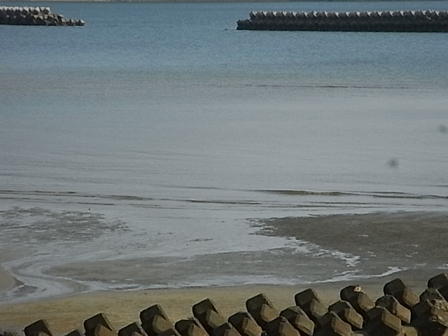 a0146070_7472170.jpg
