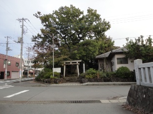 d0109373_3103118.jpg