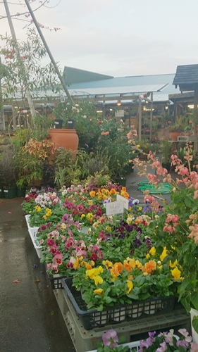 c0222474_17584862.jpg