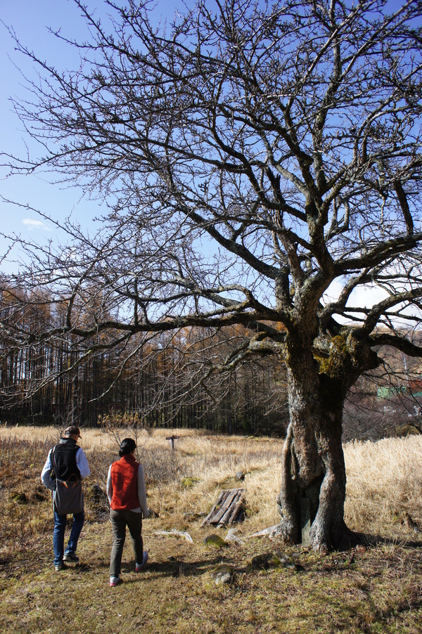 f0235376_2051446.jpg