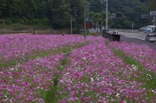 f0054677_9121855.jpg