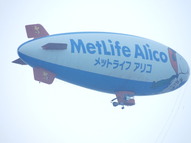 d0118678_1458491.jpg