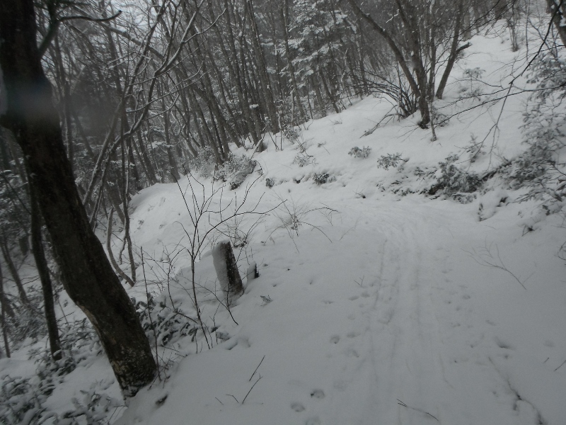 f0082181_12111511.jpg
