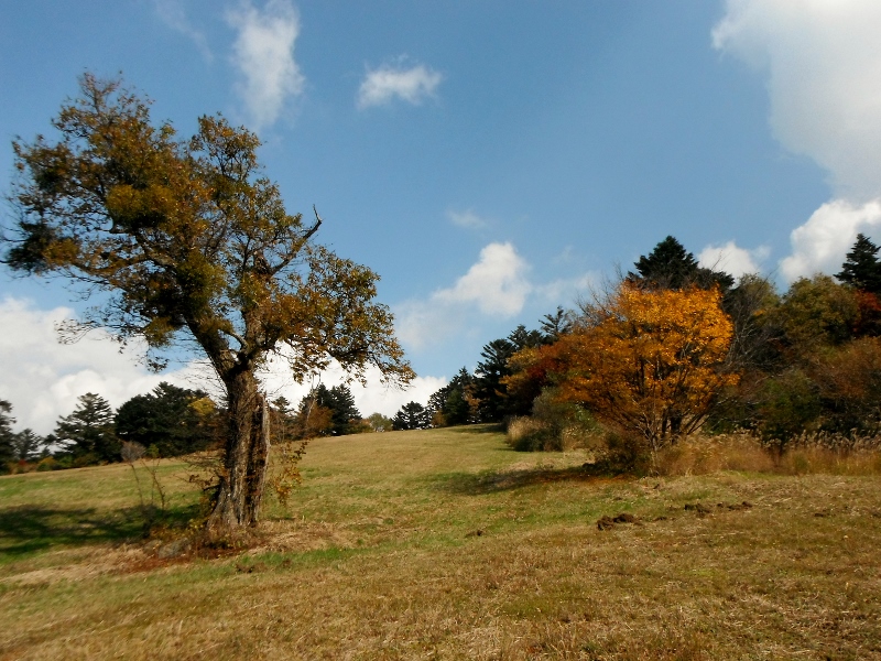f0082181_124170.jpg