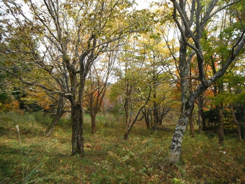 f0082181_1285069.jpg