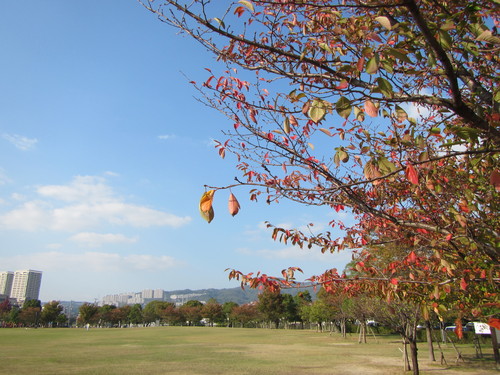 a0251786_175091.jpg
