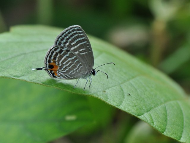 f0310988_224020100.jpg
