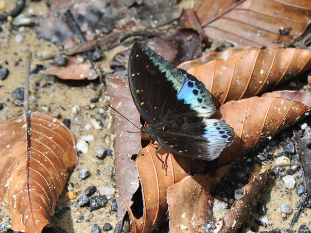 f0310988_22423438.jpg