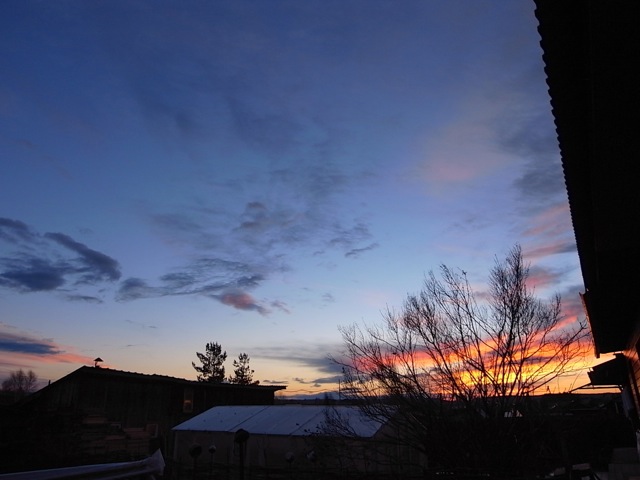 e0250594_0295198.jpg