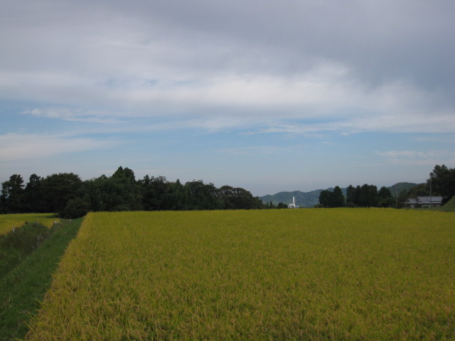 f0010195_23374225.jpg