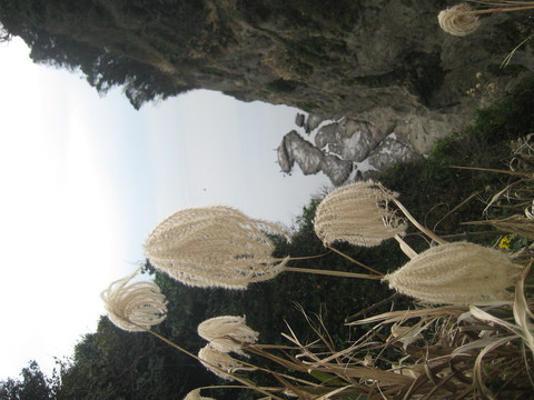 f0201297_23492244.jpg