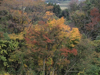 c0187298_2123818.jpg