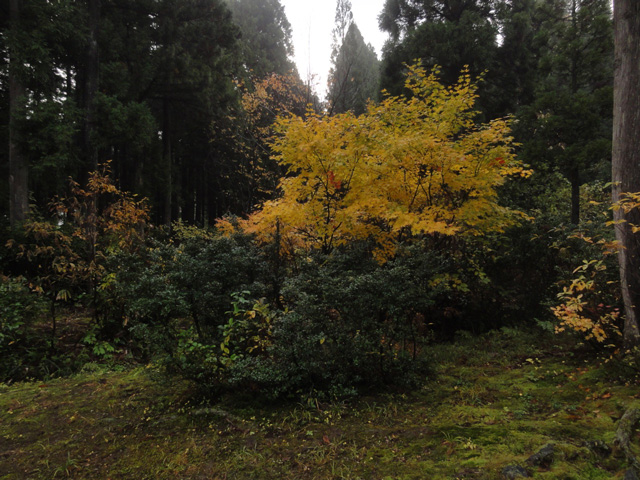 a0061599_737920.jpg