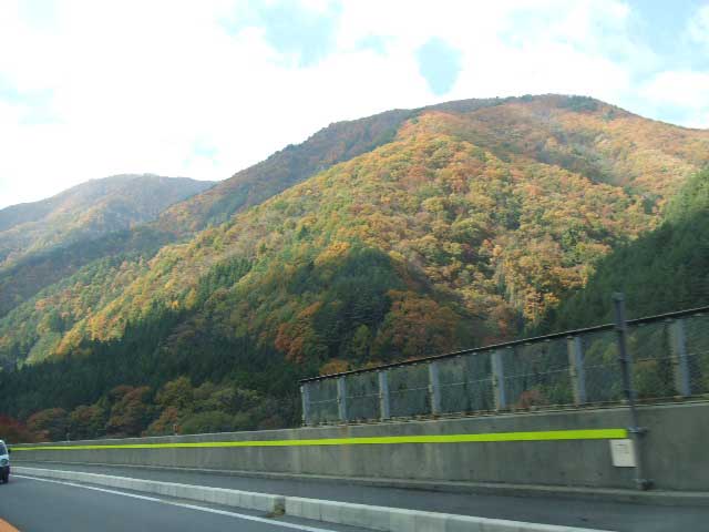 c0085508_002994.jpg
