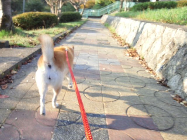 c0060620_837473.jpg