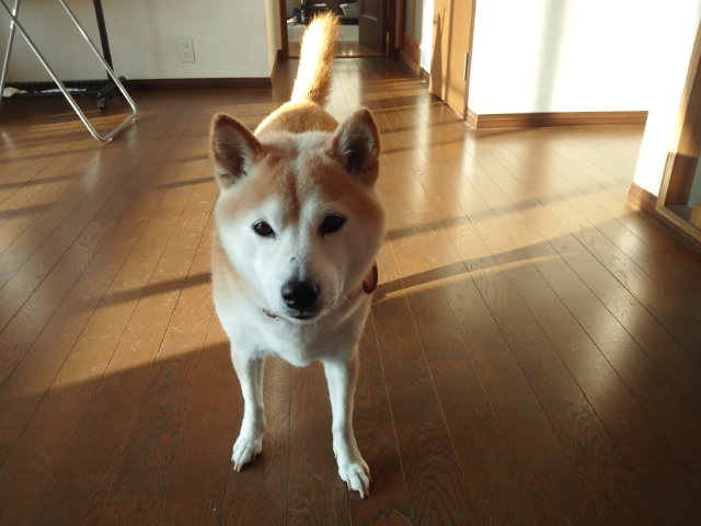 c0060620_8374764.jpg