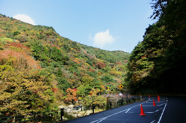 f0248120_2142463.jpg