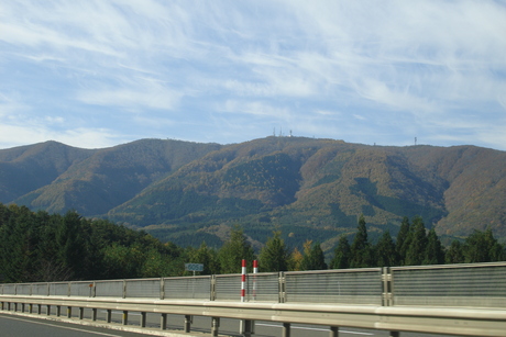 d0250123_2154859.jpg