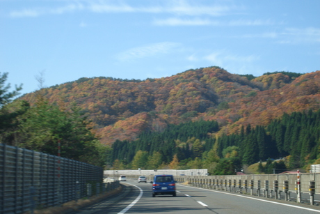 d0250123_2163431.jpg