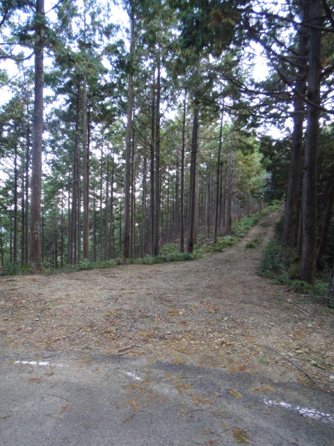 c0189724_1336392.jpg