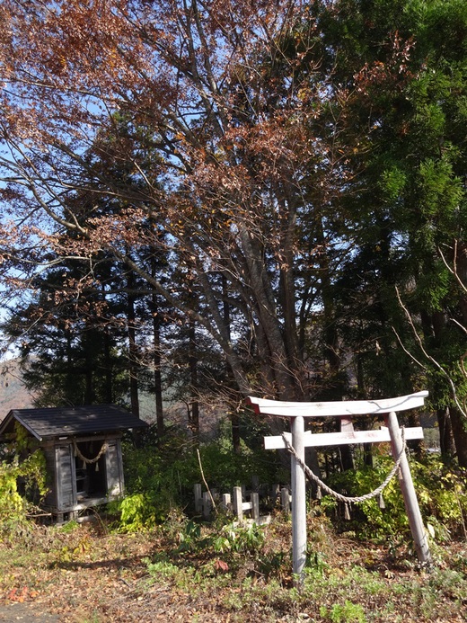 c0111229_17333592.jpg