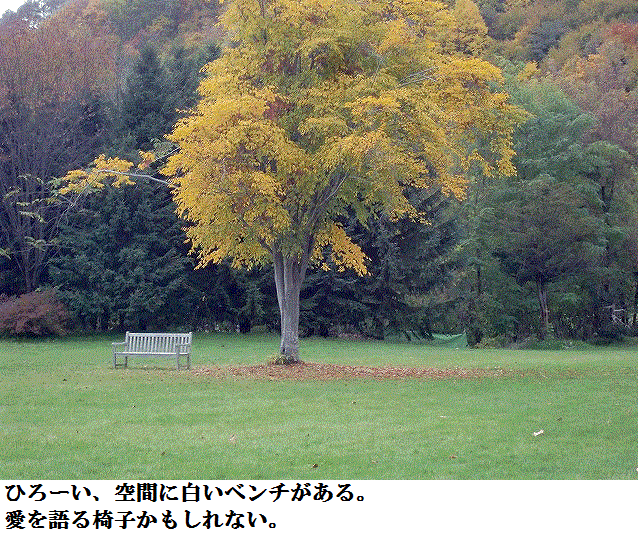 c0123031_181717.gif
