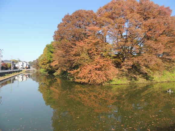 f0118332_19563636.jpg