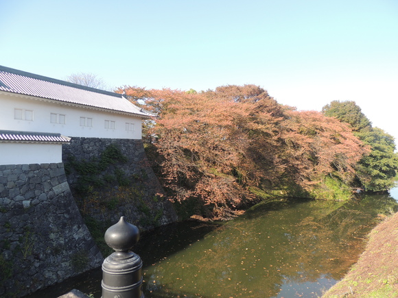 f0118332_19591344.jpg