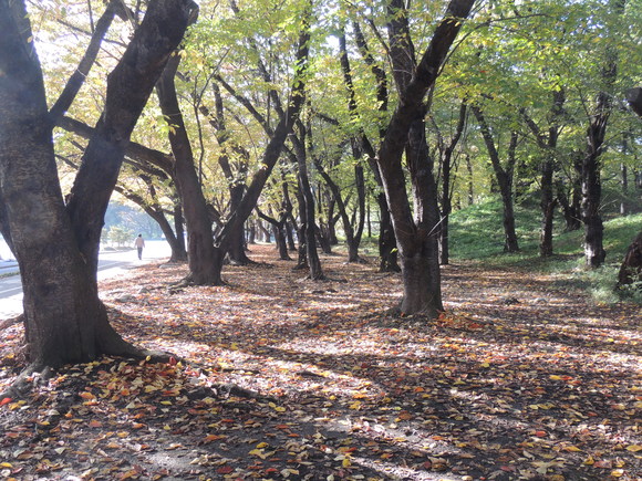 f0118332_2003919.jpg