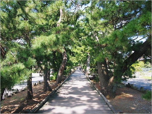 e0022839_3504381.jpg