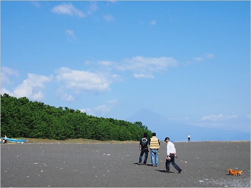 e0022839_3514476.jpg