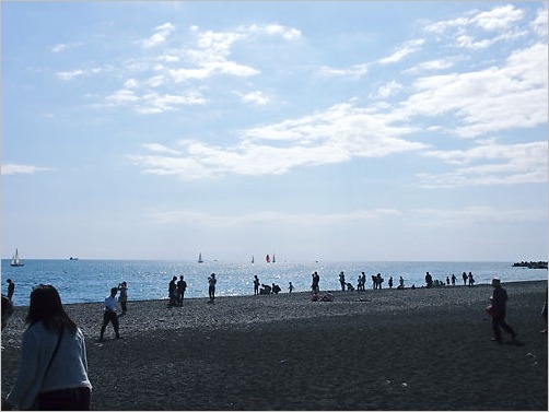 e0022839_352372.jpg