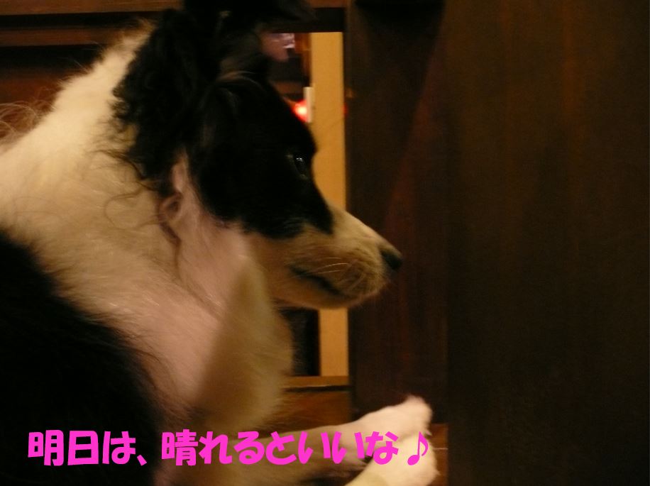 c0147241_21425216.jpg