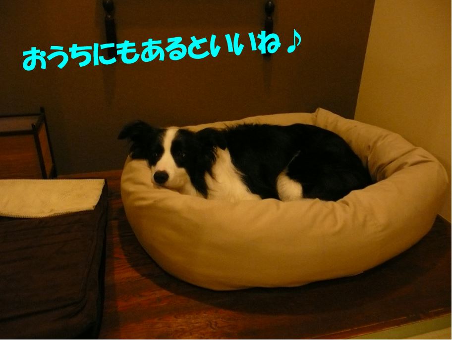 c0147241_2143650.jpg