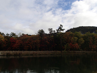 f0065341_1304549.jpg