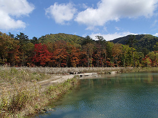 f0065341_1345741.jpg