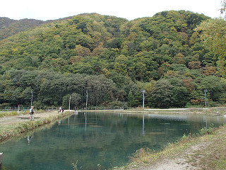 f0065341_1375531.jpg
